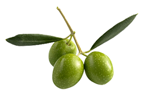 aceituna