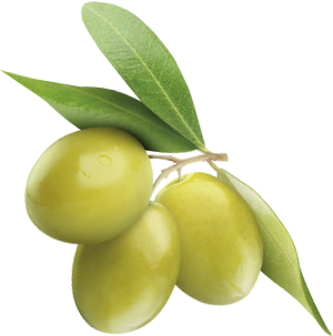 aceitunas