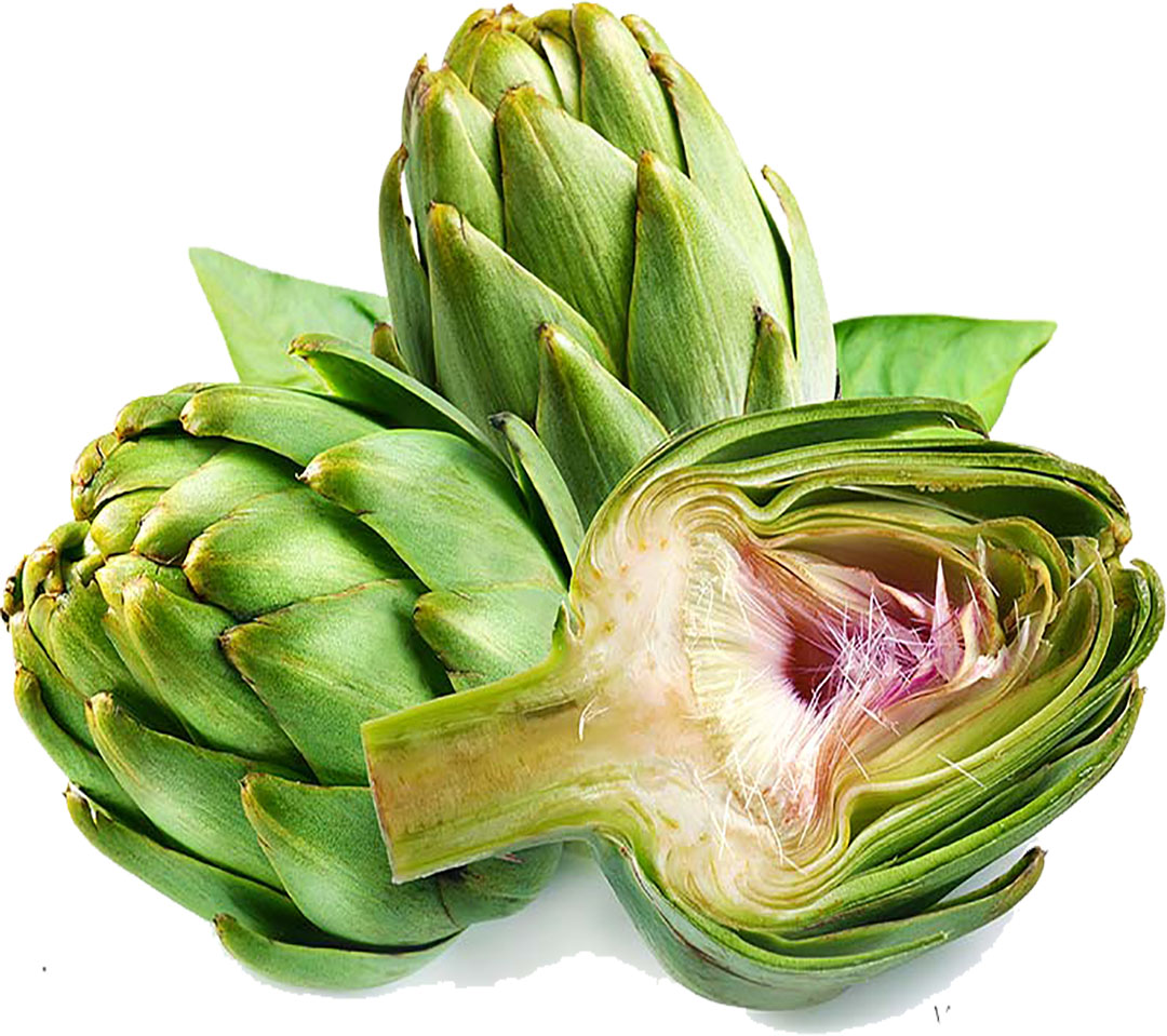 alcachofa