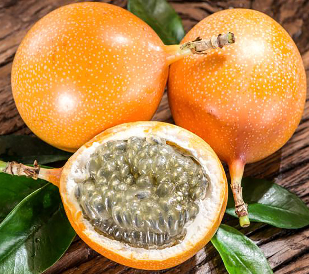 granadilla_00
